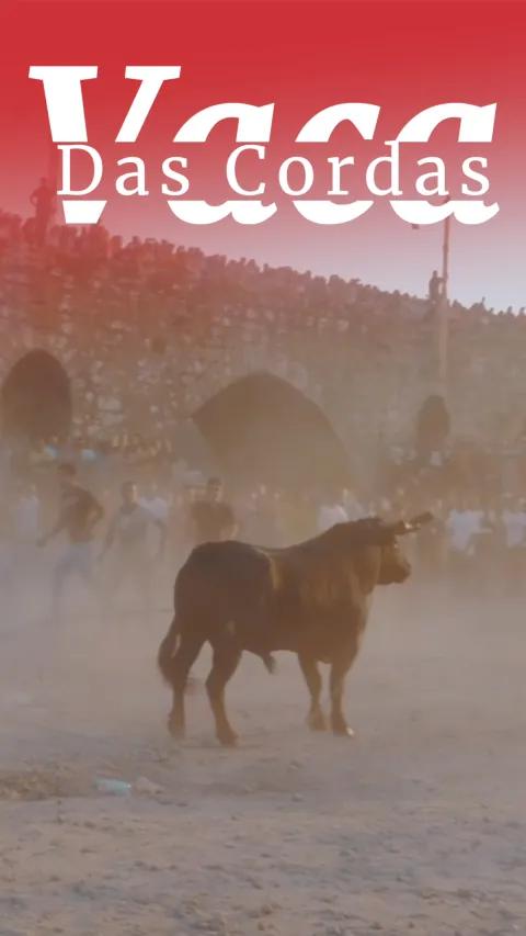 Vaca das Cordas Ponte de Lima